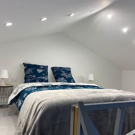 Logement Avec Mezzanine Tremblay-en-France 外观 照片