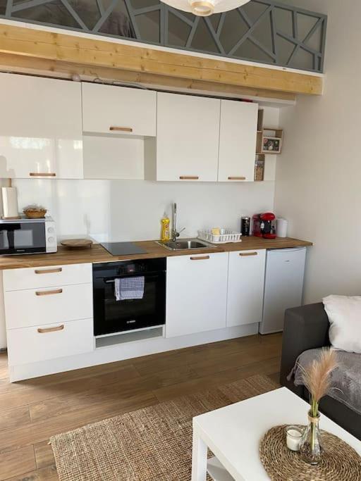 Logement Avec Mezzanine Tremblay-en-France 外观 照片